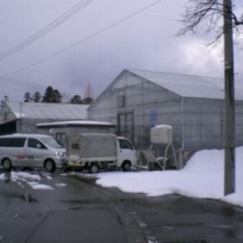 Japanreise 2007 Bauer Stefan